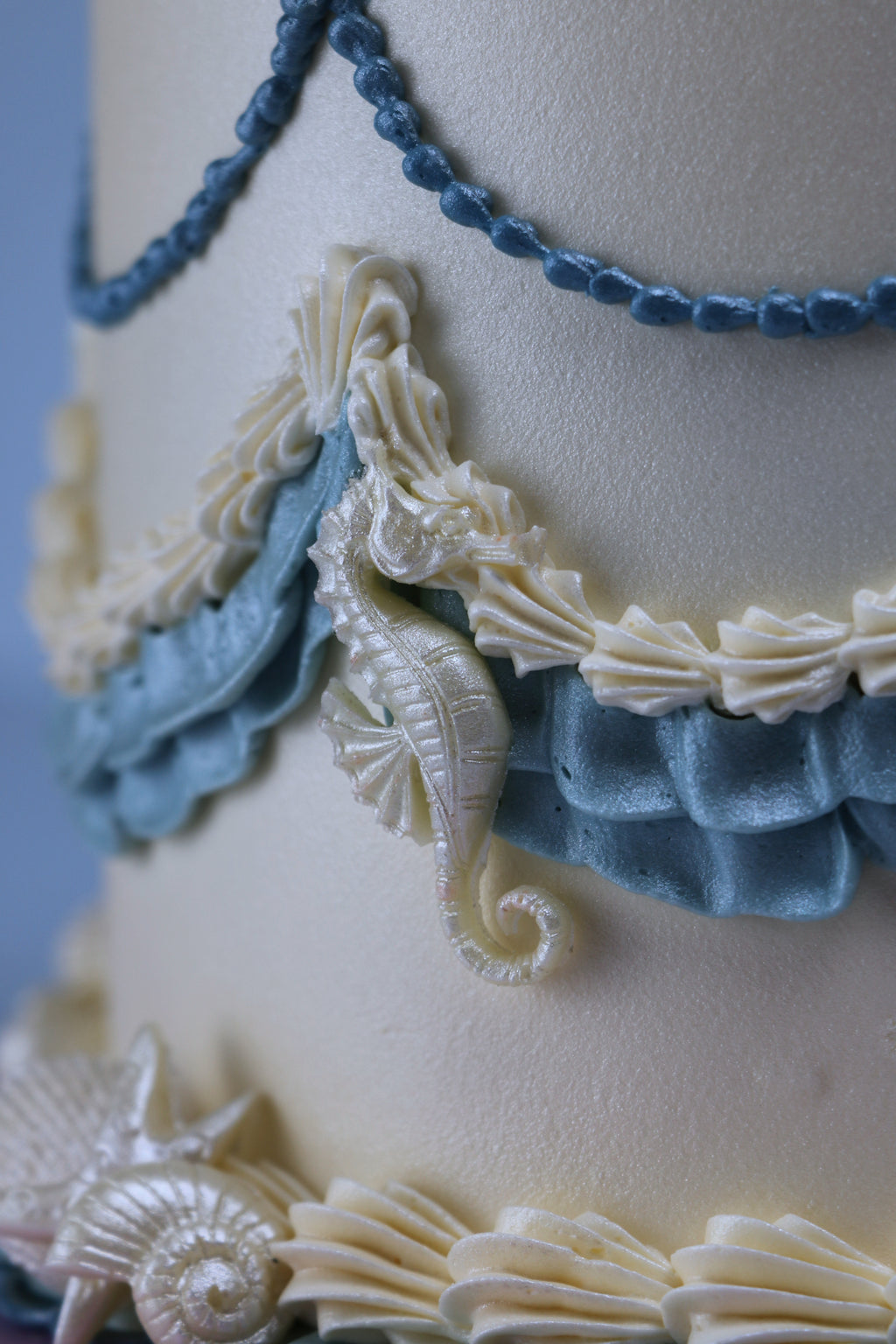 She Sells Seashells Cake