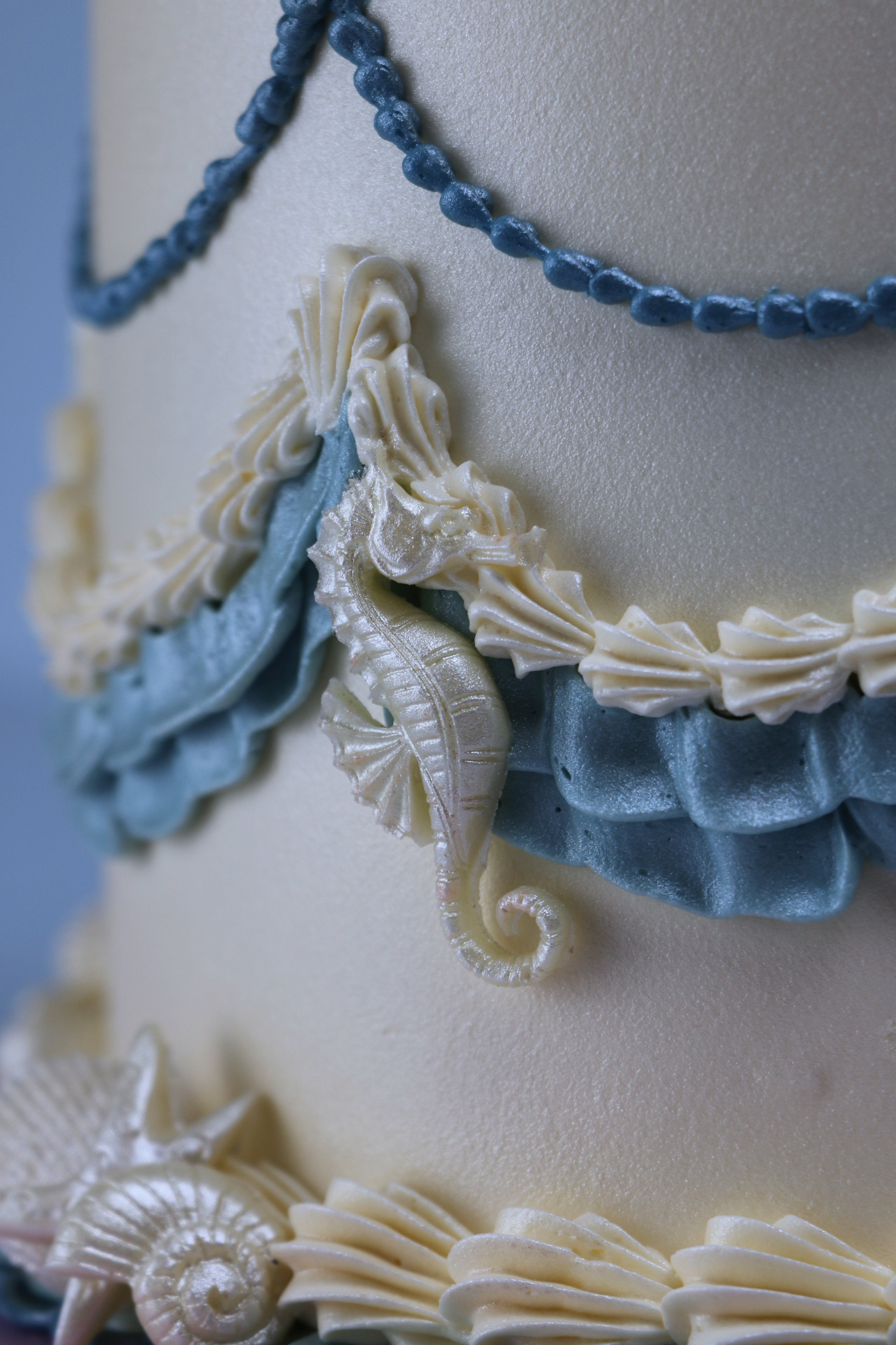 She Sells Seashells Cake