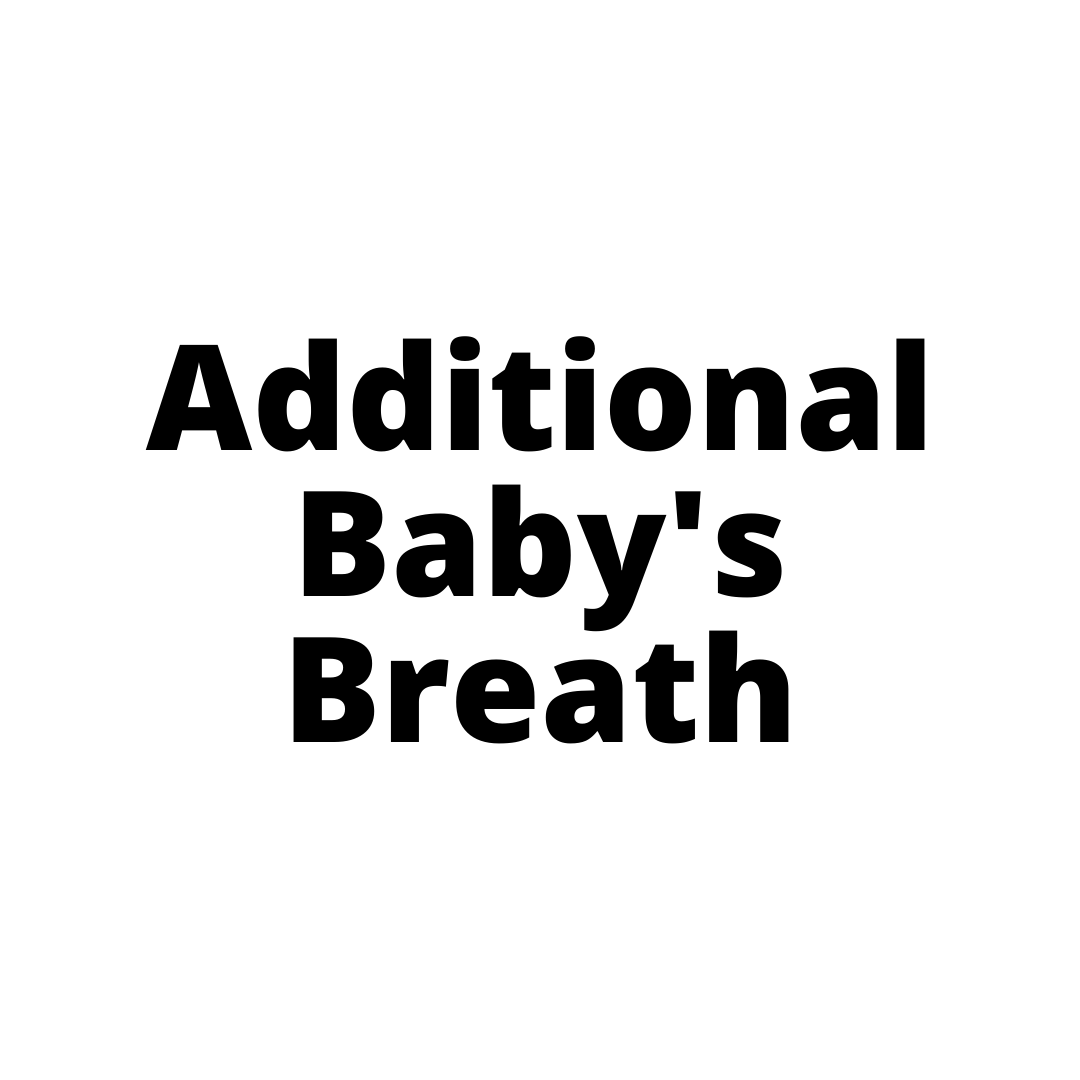 Additional Baby's Breath