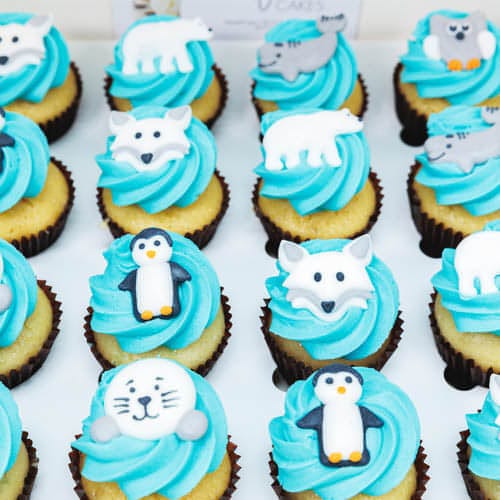 Arctic Animals Mini Cupcakes (24)