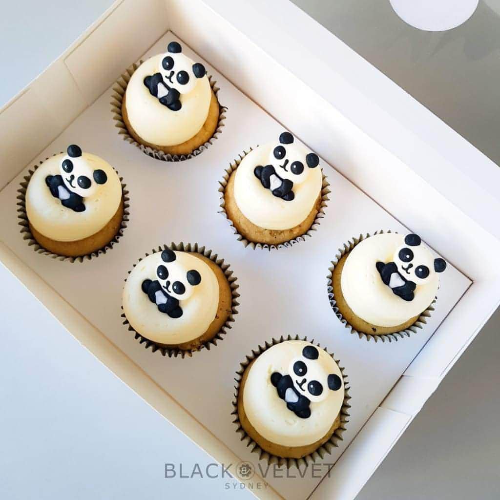 Baby Pandas Cupcakes (6)