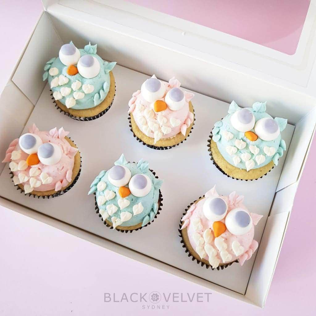 Baby Shower Owl Cupcakes Sydney