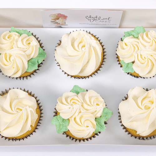 Classic Ivory White Rosette Cupcakes (12)