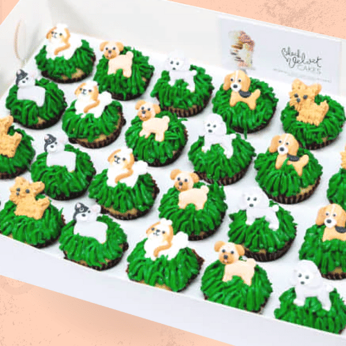 Dog Park Mini Cupcakes (24)