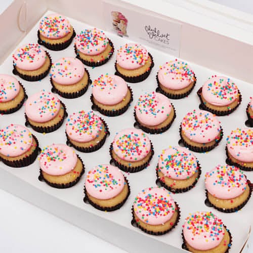 Fairy Bread Mini Cupcakes (24)