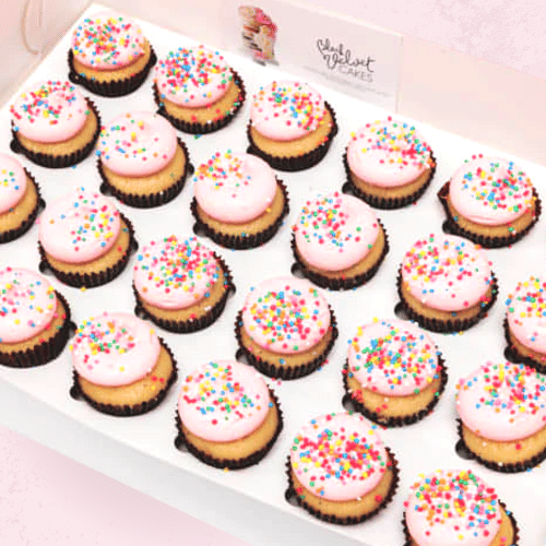 Fairy Bread Mini Cupcakes (24)