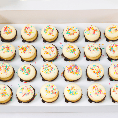 Jimmies Sprinkles Mini Cupcakes (24)