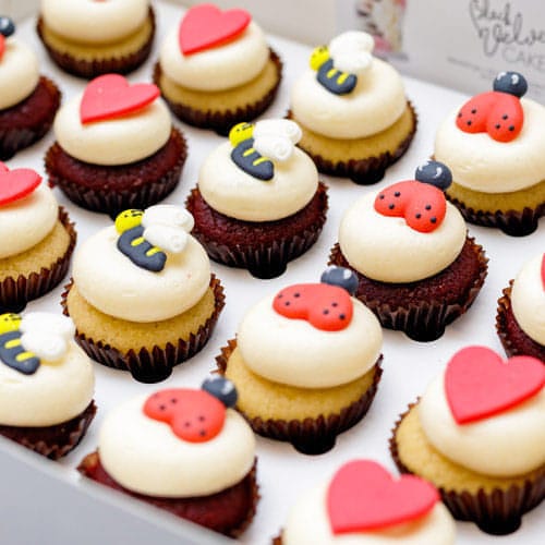 Ladybug and Bee Mini Cupcakes (24)