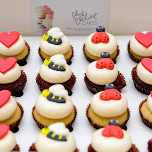 Ladybug and Bee Mini Cupcakes (24)