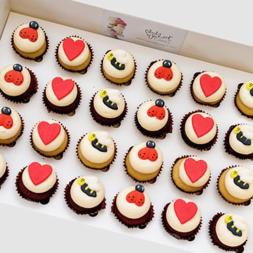 Ladybug and Bee Mini Cupcakes (24)