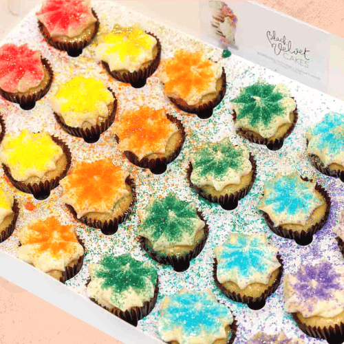 LOW GLUTEN Rainbow Block Mini Cupcakes (24)