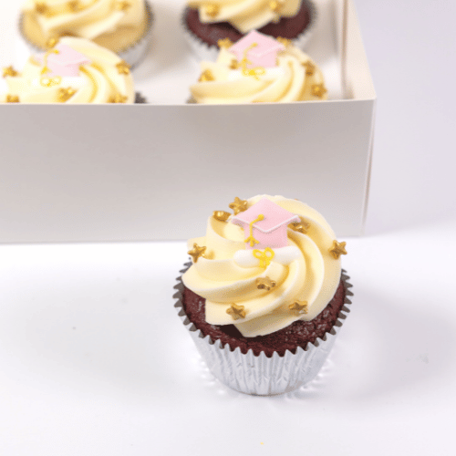 Pink Lady Graduation Mini Cupcakes (24)