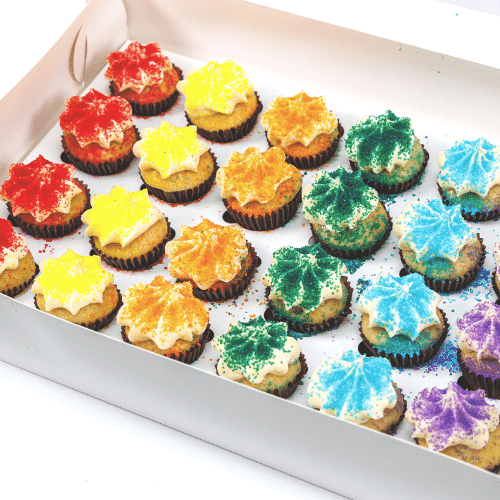 Rainbow Block Mini Cupcakes (24)