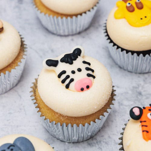 Zoo Animals Designer Cupcakes (6)