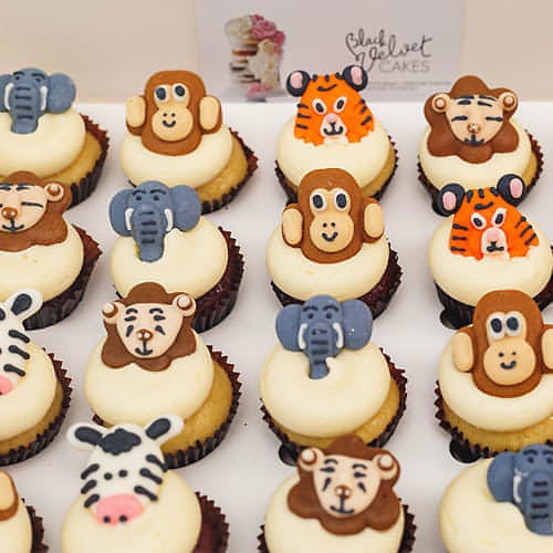 Zoo Animals Kids Mini Cupcakes (24)